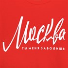 Толстовка "Москва" р. 2XL (54), красный 4192242 Толстовка "Москва" р. 2XL (54), красный 4192242