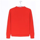 Толстовка "Москва" р. 2XL (54), красный 4192242 Толстовка "Москва" р. 2XL (54), красный 4192242