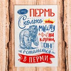Магнит плоский односторонний «Пермь» 2463896 Магнит плоский односторонний «Пермь» 2463896