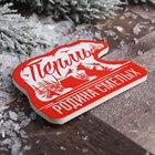Магнит "Пермь. Медведь",5,5х7,5 см. 3950248